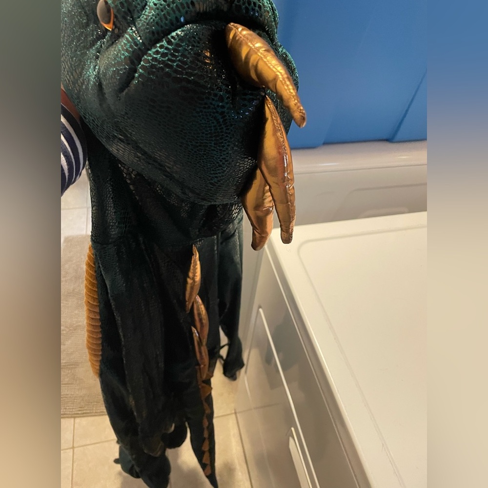 Dragon Halloween Costume